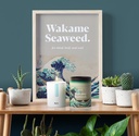 Wakame Seaweed Candle - Treemoss Vetiver Yuzu
